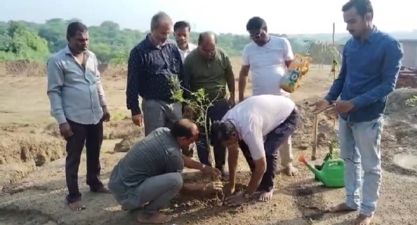 फ़ोटो। पौधा रोपड़ करते हुए लोग