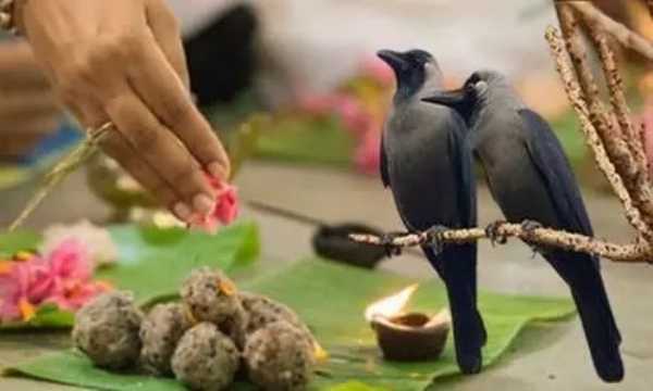 प्रतीक प्रतीक