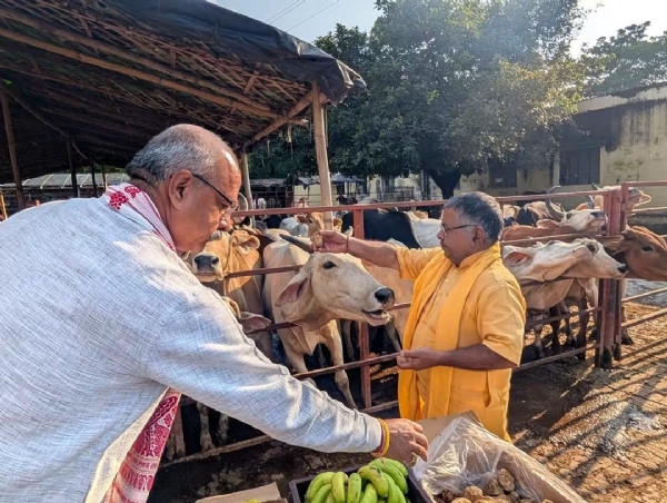 गौशाला में गो सेवा आयोग के अध्यक्ष श्याम बिहारी गुप्ता गौशाला में गो सेवा आयोग के अध्यक्ष श्याम बिहारी गुप्ता