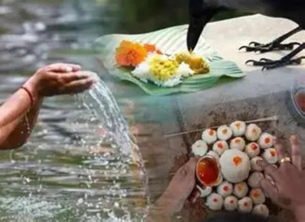 पितृ पक्ष से जुड़ी तस्वीर पितृ पक्ष से जुड़ी तस्वीर