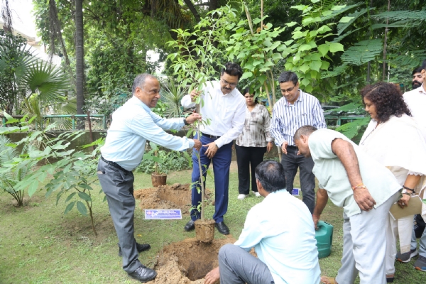 डीयू कुलपति योगेश सिंह कार्बन गार्डन में पौधा लगाते हुए।