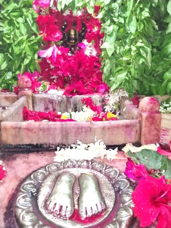 गड़बड़ा शीतला मां की सजी झांकी गड़बड़ा शीतला मां की सजी झांकी